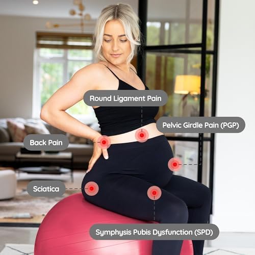 BABYGO® Birthing Ball for Pregnancy & Labor + Our Award Winning Book - Exercise, Birth & Recovery Plan, 5X Stronger Than a Yoga Ball with Eco Friendly Material