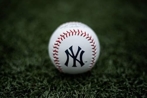 Rawlings Official MLB Team Logo Baseball (ALL TEAM OPTIONS)