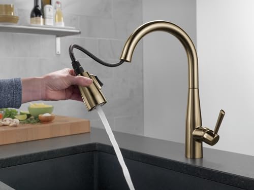 Delta Faucet Essa Pull Down Kitchen Faucet Gold with Pull Down Sprayer, Kitchen Sink Faucet for Kitchen Sink with Magnetic Docking Spray Head, Champagne Bronze 9113-CZ-DST