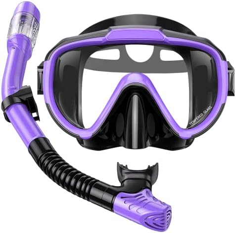 Snorkel Set Adults Snorkeling Gear Anti-Fog Panoramic View Swim Mask Dry Top Snorkel Kit with Carry Bag for Snorkeling Scuba Diving Swimming Travel