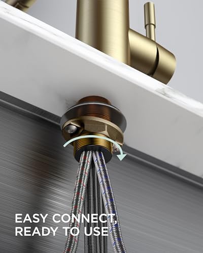 FORIOUS Gold Kitchen Faucet with Pull Down Sprayer, Stainless Steel Commercial Single Handle Classic Spring Pull Out Sink Faucet for Farmhouse Camper Laundry Utility Room