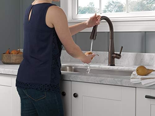 Delta 9113T-RB-DST Essa Kitchen Faucet, Touch2O, Venetian Bronze