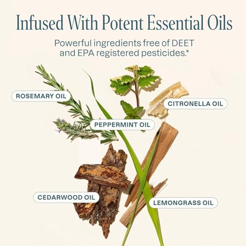 Cliganic Natural Mosquito Repellent Candle (Large 16oz) | Citronella, DEET Free, Essential Oil Infused for Outdoor, Camping | Burns 55 Hours