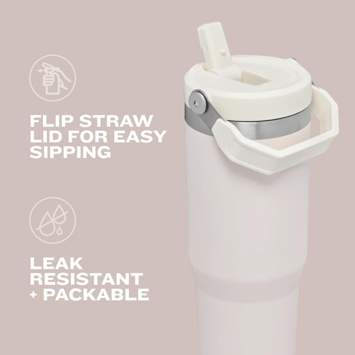 Stanley IceFlow Flip Straw Tumbler with Handle 30 oz | Twist On Lid and Flip Up Straw | Leak Resistant Water Bottle | Insulated Stainless Steel |BPA-Free | Mist