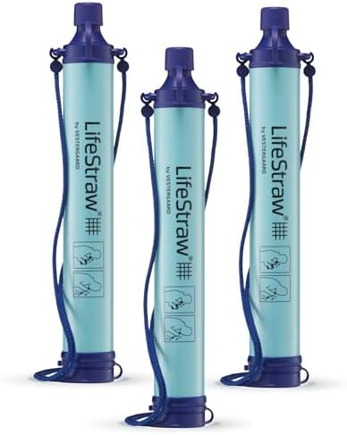 LifeStraw Personal Water Purifier for Hiking, Camping, Travel, and Emergency Preparedness