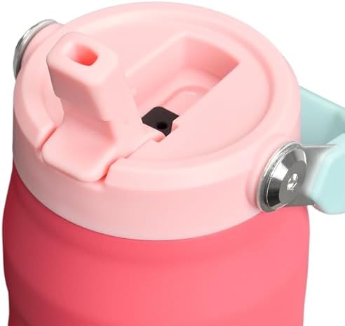 Stanley IceFlow Flip Straw 2.0 Water Bottle 24 oz | Built-In Straw for Travel and Sports | Lightweight and Leak Resistant | Insulated Stainless Steel | BPA-Free | Watermelon