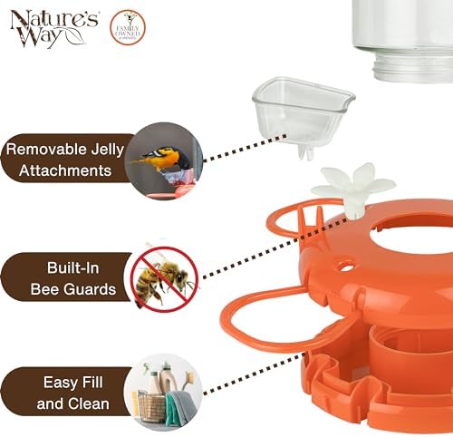 Nature's Way Hanging Glass Oriole Feeder for Outdoor Décor, 30 Ounce Capacity Nectar Feeder, Jelly Dishes, Orange Fruit Holders, 4 Eash to Clean Flexible Ports, Ant Moat, Bee Guards, Orange