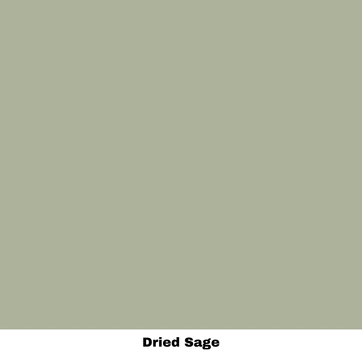 Dixie Belle Paint Company Chalk Finish Furniture Paint - Dried Sage (32oz) - Matte Gray/Green Chic Chalk Mineral DIY Furniture Paint