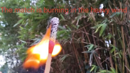 Emergency Fire Starter Windproof Weatherproof Stormproof Matches Waterproof Case Wax Rope for Hiking Camping Bushcraft Hunting Fishing Outdoor Survival Power Outage