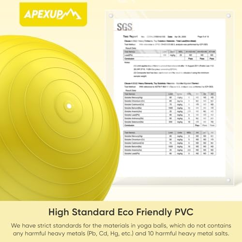 APEXUP Yoga & Pilates Ball - Anti Slip Heavy Duty Gym Ball for Fitness, Balance & Core Workout