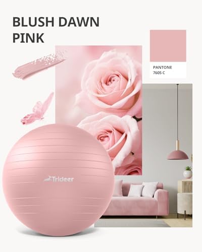 Trideer Yoga Ball - Exercise Ball for Workout pilates Stability - Anti-Burst and Slip Resistant for physical therapy, Birthing, Stretching & Core Workout, Office Ball Chair, Flexible Seating, Home Gym
