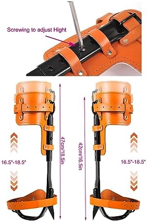 Tree Climbing Gear, Cowhide Leather Tree Climbing Spikes Set, Height-Adjustable Tree Climbing Spurs for Tree Work, Tree Trimming, Tree Cutting, Logging, Hunting, Picking Fruit,