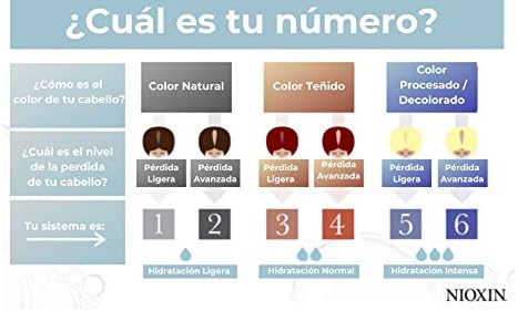 Nioxin Shampoo Sistema #6 Crecimiento de Cabello con Procesos de Decoloración, antifrizz y visiblemente escaso 300 ml