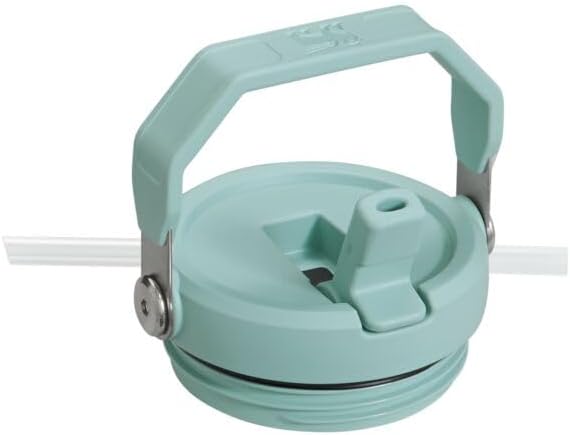 Stanley IceFlow Flip Straw Tumbler with Handle 30 oz | Twist On Lid and Flip Up Straw | Leak Resistant Water Bottle | Insulated Stainless Steel |BPA-Free | Mist