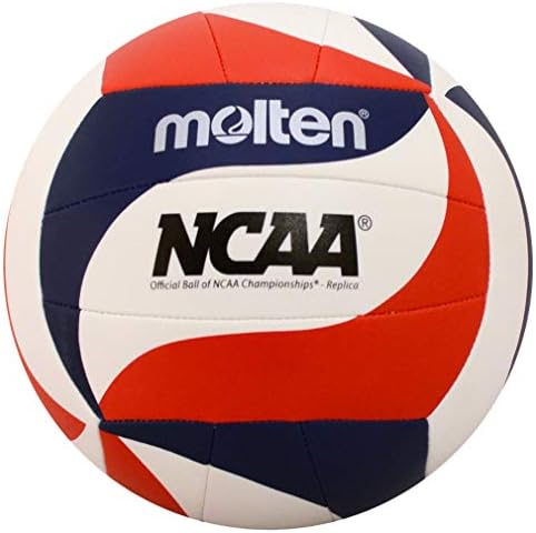 Molten Recreational Volleyball