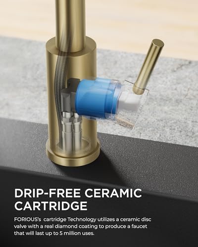 FORIOUS Gold Kitchen Faucet with Pull Down Sprayer, Stainless Steel Commercial Single Handle Classic Spring Pull Out Sink Faucet for Farmhouse Camper Laundry Utility Room