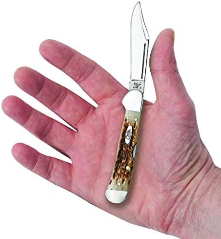 Case XX WR Pocket Knife Mini Copperlock Amber Bone W/Shield Item #133 (61749L SS) 3 5/8 inches Closed