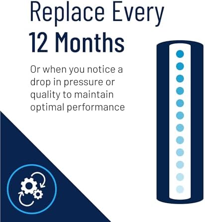 Pentair Pentek DGD-7525-20 Big Blue Water Filter, 20-Inch Whole House Sediment Filter Cartridge Replacement, Dual-Gradient Density Spun Polypropylene, 20" x 4.5", 25 Micron, Pack of 2, White
