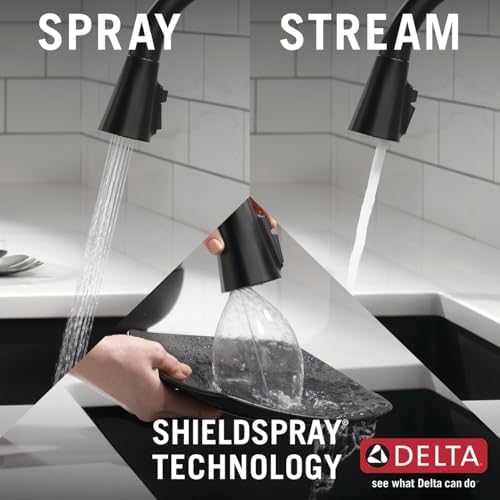 Delta 19802Z-BL-DST Lenta Kitchen Faucet, Standard, Matte Black