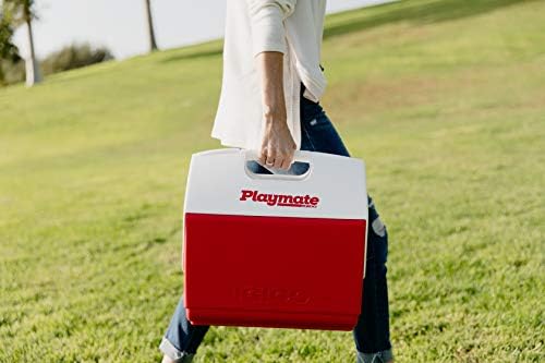 Igloo Classic Playmate Coolers
