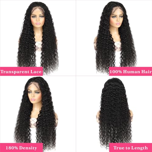 htsly 5x5 Hd Lace Closure Wigs Human Hair Water Wave 5x5 Closure Wig for Women 180 Density Curly Closure Wig Glueless Wet and Wavy Lace Front Wigs Pre Plucked Natural Black 24 Inch