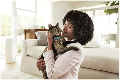 Filtrete 20x25x1 Air Filter MPR 1500 MERV 12, Healthy Living Ultra Allergen, 6-Pack (exact dimensions 19.69x24.69x0.78)