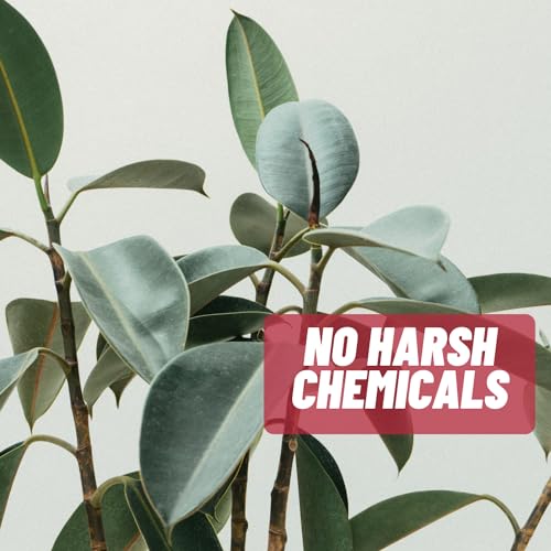 Acnetame Acne Pills- Acne Tame Supplement- Clear Skin Vitamins Pill for Oily Skin Treatment, Hormonal Blemishes, Anti Spots & Cystic Acnes Supplements for Women, Men, Teens & Adults- 60 Oral Tablets