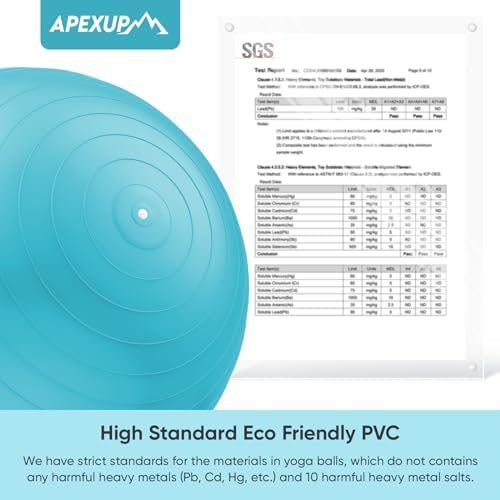 APEXUP Yoga & Pilates Ball - Anti Slip Heavy Duty Gym Ball for Fitness, Balance & Core Workout