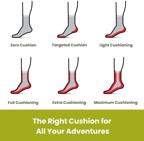Smartwool Women's Performance Hike Light Cushion Low Ankle