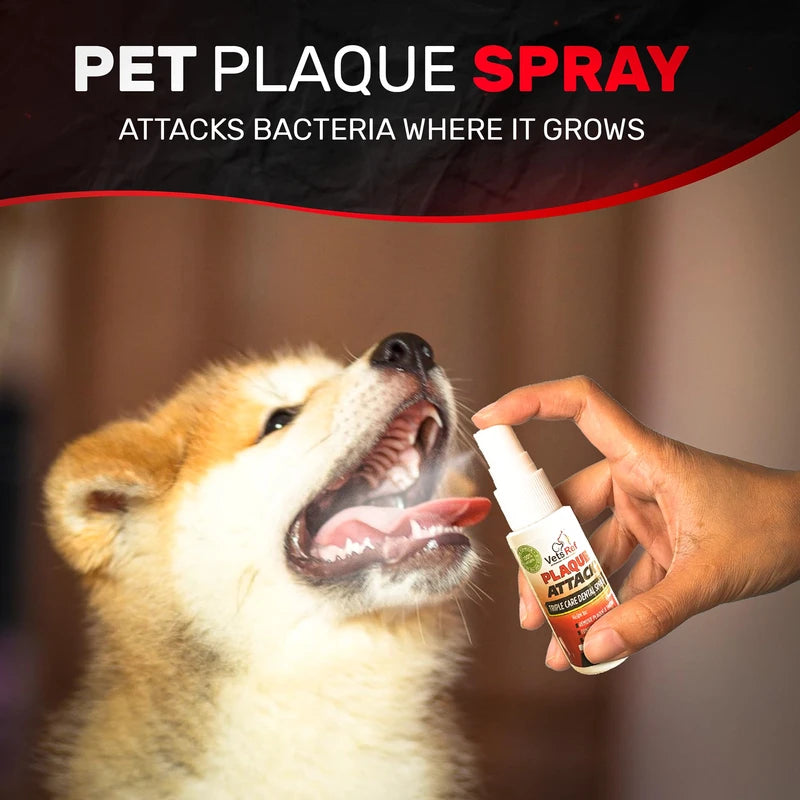 Pet Dental Spray, As Seen on TV, Eliminates Plaque & Tartar, Helps W/Bacteria, and Provides Instant Fresh Breath - Includes 3 Months' Supply of Peppermint Spray, 1fl. OZ (30ML)
