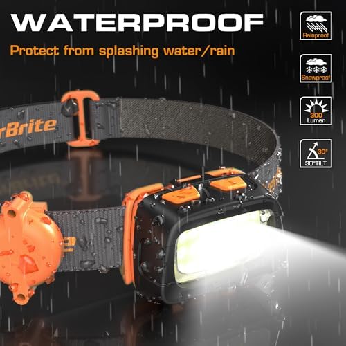 EverBrite 300 Lumens Headlamp with Red/Green/White Light Modes, Tail Light, Adjustable Headband - For Trail Running, Camping, Hiking