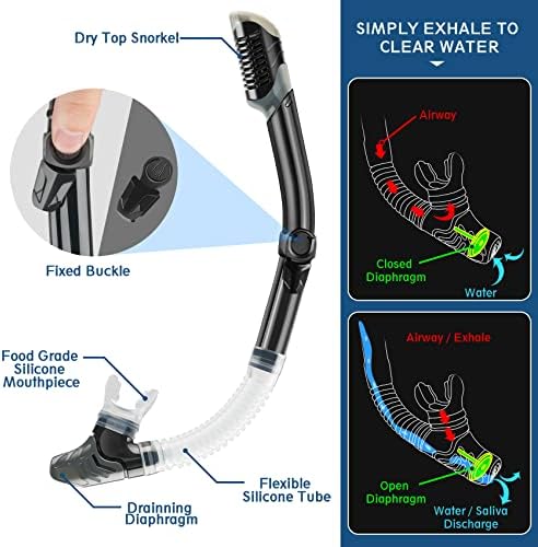 ZEEPORTE Mask Fin Snorkel Set, Travel Size Snorkeling Gear for Adults with Panoramic View Anti-Fog Mask, Trek Fins, Dry Top Snorkel and Gear Bag for Swimming Training, Snorkeling Kit Diving Packages