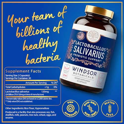 Lactobacillus Salivarius Probiotic Capsules - L Salivarius Probiotic Oral Dental Probiotics for Bad Breath, Teeth and Gums Health - Immune Support, Digestive Probiotic - 24bn CFU, 60 Caps