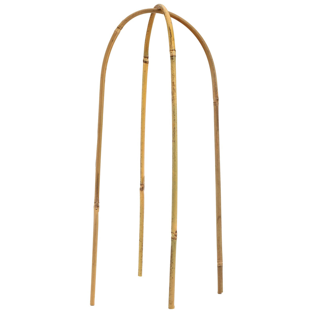 Coloch 20 Pack Bamboo U Trellis Support, 16 Inch U Loop Plant Stake Arch Garden Trellis for Potted Plants, Climbing Flowers and Vines, Ivy, Outdoor Planting