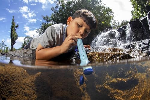 LifeStraw Personal Water Purifier for Hiking, Camping, Travel, and Emergency Preparedness