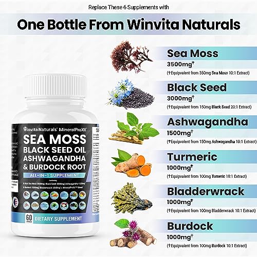Sea Moss 3500mg Black Seed Oil 3000mg Ashwagandha 1500mg Turmeric 1000mg Bladderwrack 1000mg Burdock 1000mg, Vitamin C & D3 with ACV Chlorophyll Elderberry Manuka Dandelion Yellow Dock Vegan Caps USA