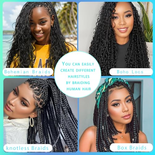 Human Braiding Hair 18 Inch 6 Bundles Human Hair Braiding Hair No Weft Deep Wave Bulk Human Hair for Braiding Hair Extensions for Boho Braids Wet and Wavy 150g P4/27#