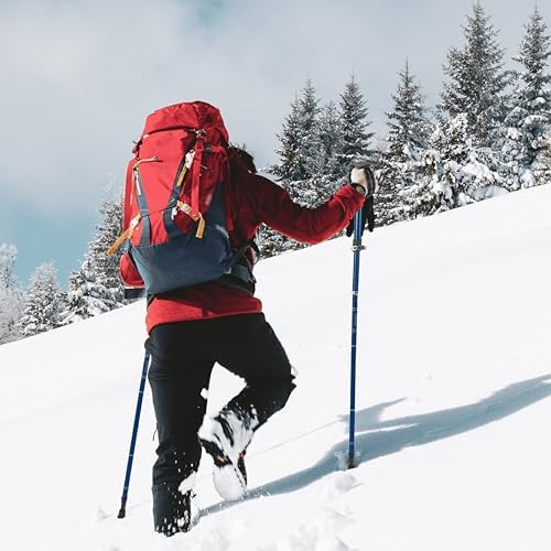 TREKOLOGY Trekking Poles – Lightweight, Adjustable Hiking Sticks for Men & Women – Durable Aluminum, Compact & Foldable with Comfortable Grip – Perfect for Hiking, Walking & Seniors, TREKZ XE