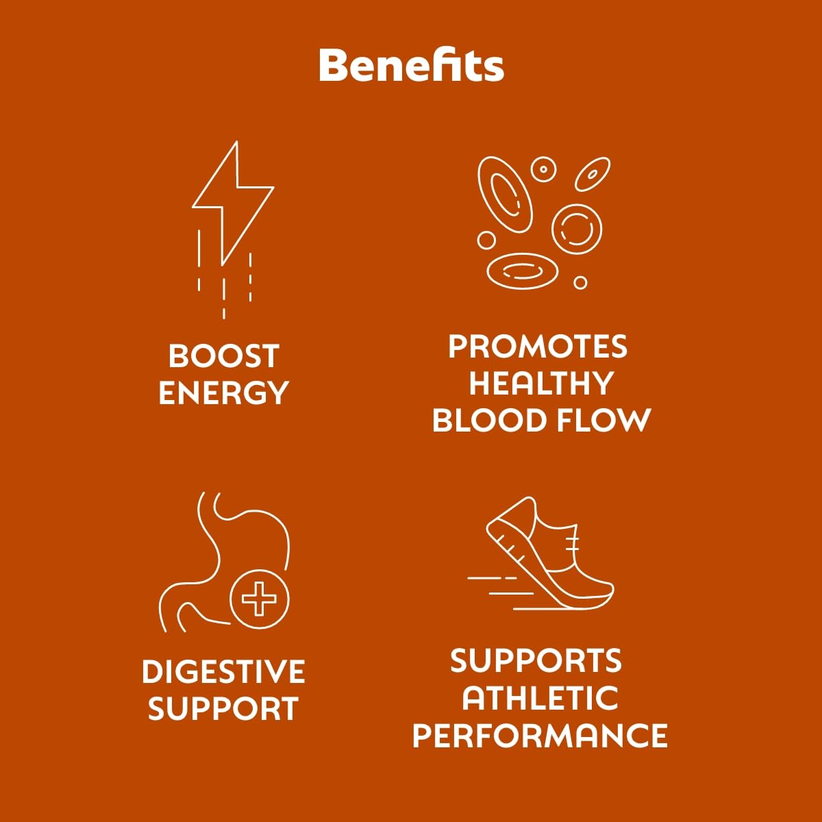 L'Evate You Vitality Daily Greens Powder (28 Servings) 30 Superfoods, 9 Greens - for a Cellular Energy Boost, Powered by M-Charge Complex for All Day Energy (Chocolate)