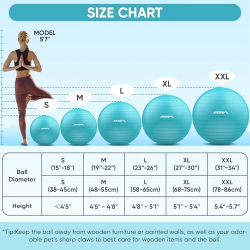 APEXUP Yoga & Pilates Ball - Anti Slip Heavy Duty Gym Ball for Fitness, Balance & Core Workout
