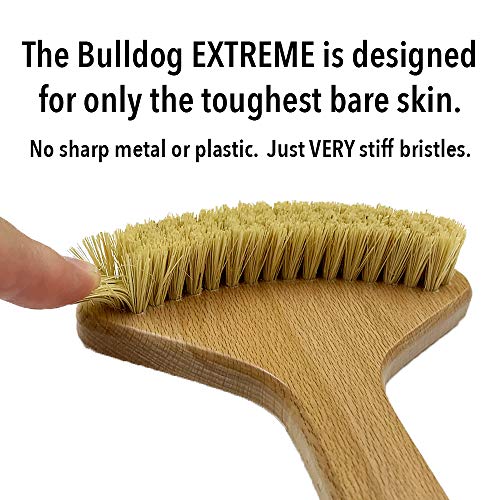 THE BULLDOG Extreme Back Scratcher, The Scratchiest Bulldog, with Extra Stiff Bristles for Serious Skin Itch Relief and Pleasure, Best Gift for Men and Women, Caution Extremely Scratchy