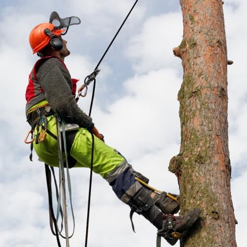 Braided Polyester Arborist Rigging Rope (3/8 inch X 100 feet) High Strength Outdoor Rope for Tree Climbing Hiking Camping Swing, Black