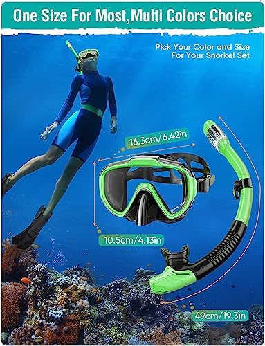 Snorkel Set Adults Snorkeling Gear Anti-Fog Panoramic View Swim Mask Dry Top Snorkel Kit with Carry Bag for Snorkeling Scuba Diving Swimming Travel