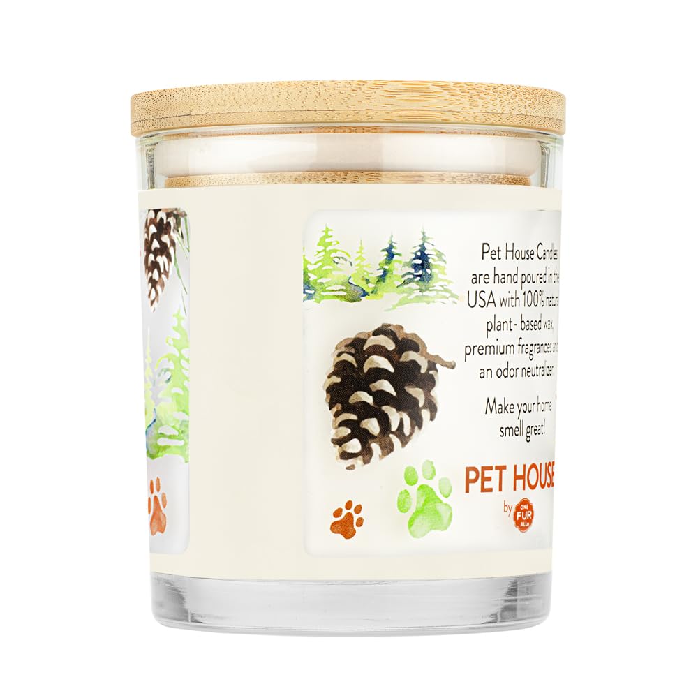 One Fur All Pet House Christmas Candles, Long Lasting, Clean Burning, Soy Wax Scented Candles for Pet Odor, Evergreen Forest