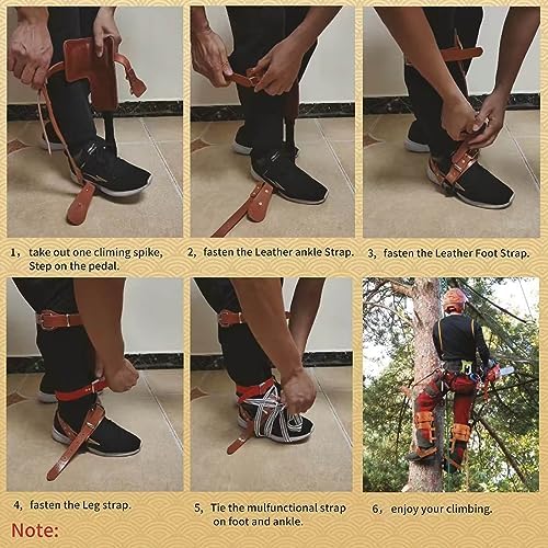 Tree Climbing Gear, Cowhide Leather Tree Climbing Spikes Set, Height-Adjustable Tree Climbing Spurs for Tree Work, Tree Trimming, Tree Cutting, Logging, Hunting, Picking Fruit,