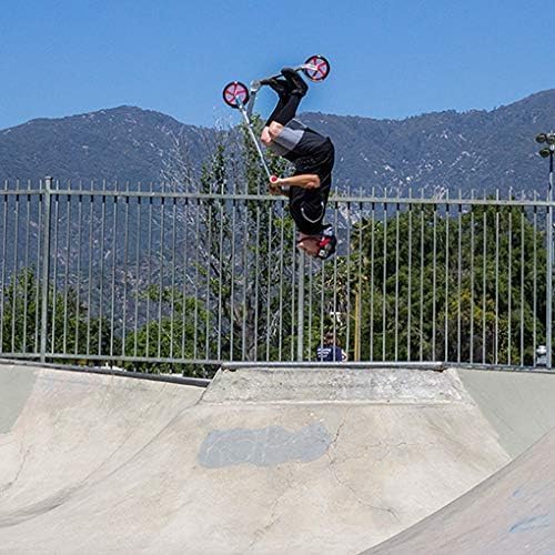 Razor A5 Lux Kick Scooter for Kids Ages 8+ - 8" Urethane Wheels, Anodized Finish Featuring Bold Colors and Graphics, for Riders up to 220 lbs