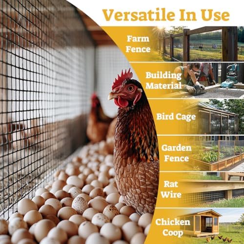 HORCH Hardware Cloth 1/2 inch 36 x 100 ft 19 Gauge, Chicken Wire Mesh Roll, Chicken Wire Fencing, Wire Fence Roll, Wire Mesh Fence, Tree Guard, Mesh & Wire Cloth, Rat Wire, Hardware Mesh