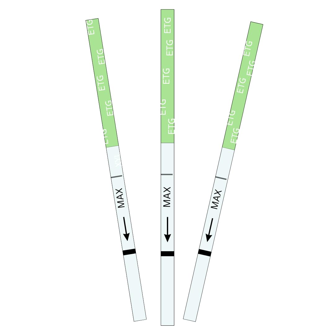 12 Panel Now ETG Alcohol Strips - 80 Hour Detection Time, Rapid Detection with High Sensitivity, Instant Read, Results Within 5 Minutes (Pack of 25)