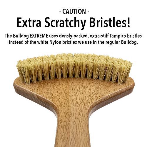 THE BULLDOG Extreme Back Scratcher, The Scratchiest Bulldog, with Extra Stiff Bristles for Serious Skin Itch Relief and Pleasure, Best Gift for Men and Women, Caution Extremely Scratchy