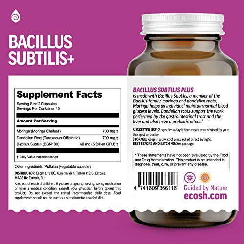 Bacillus Subtilis Spore Based Probiotic — High Potency Strain with Prebiotic for Balanced Belly | Daily Gut Health & Microbiome Support for Family | 6 Billion CFU Per Day | 90 Vegetarian Capsules